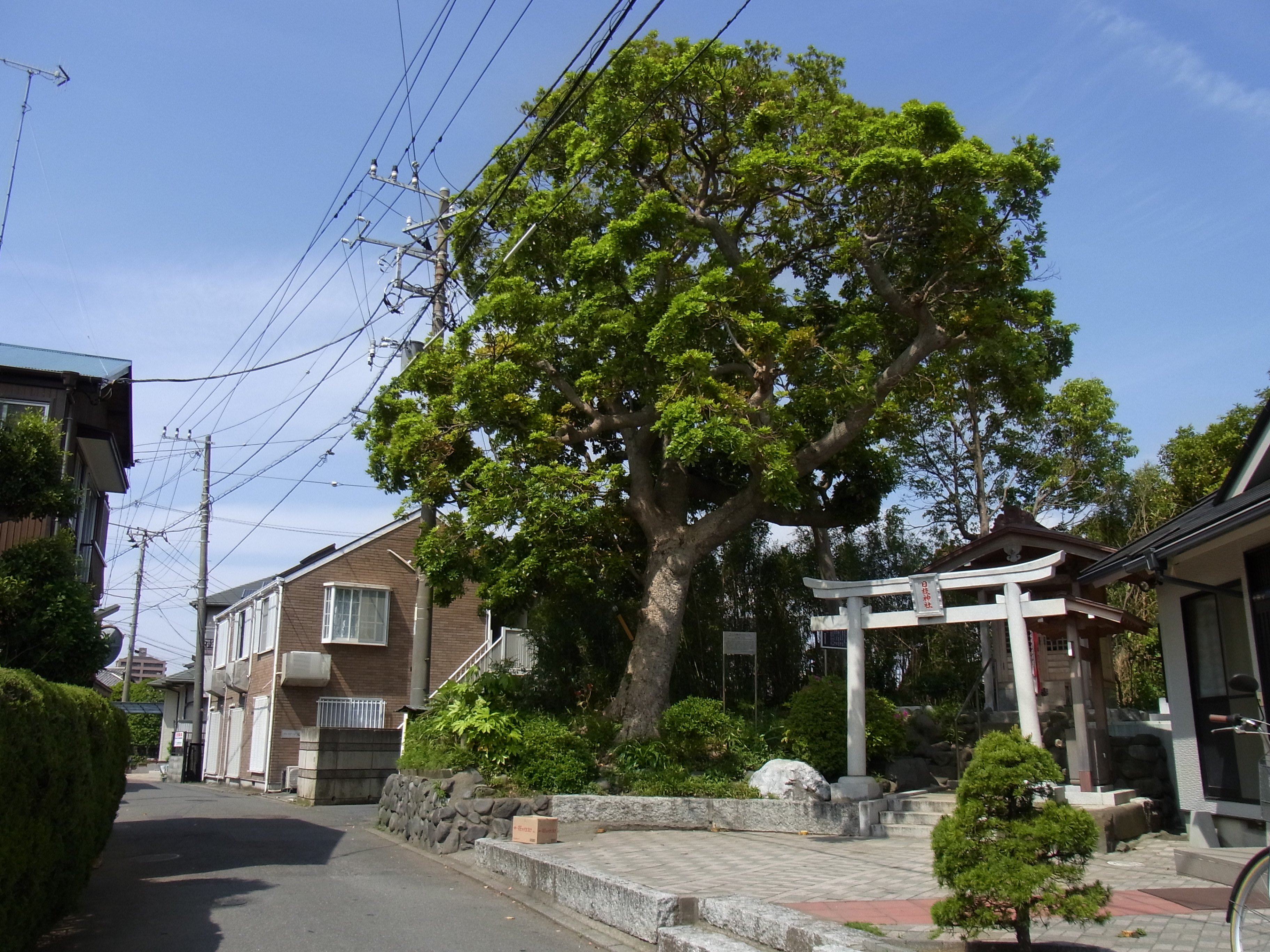 トップ 取材 類語 写真